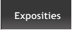 Exposities Exposities